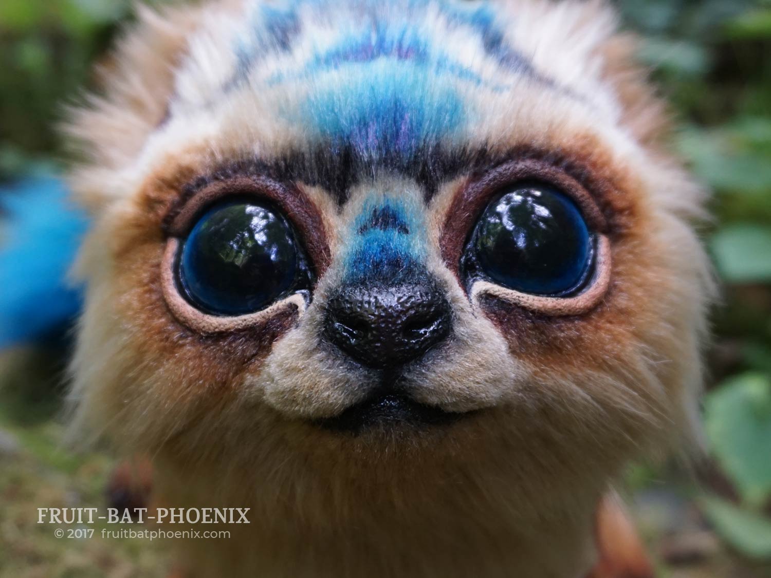 cub i face closeup