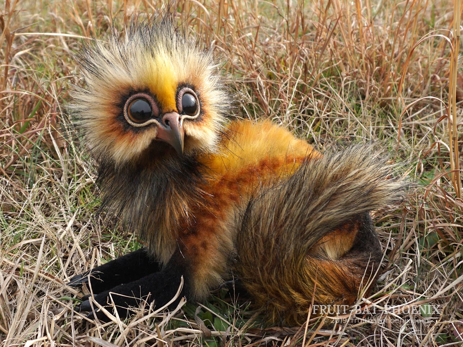 Ferrowl rests in tall grass, with tail curled 