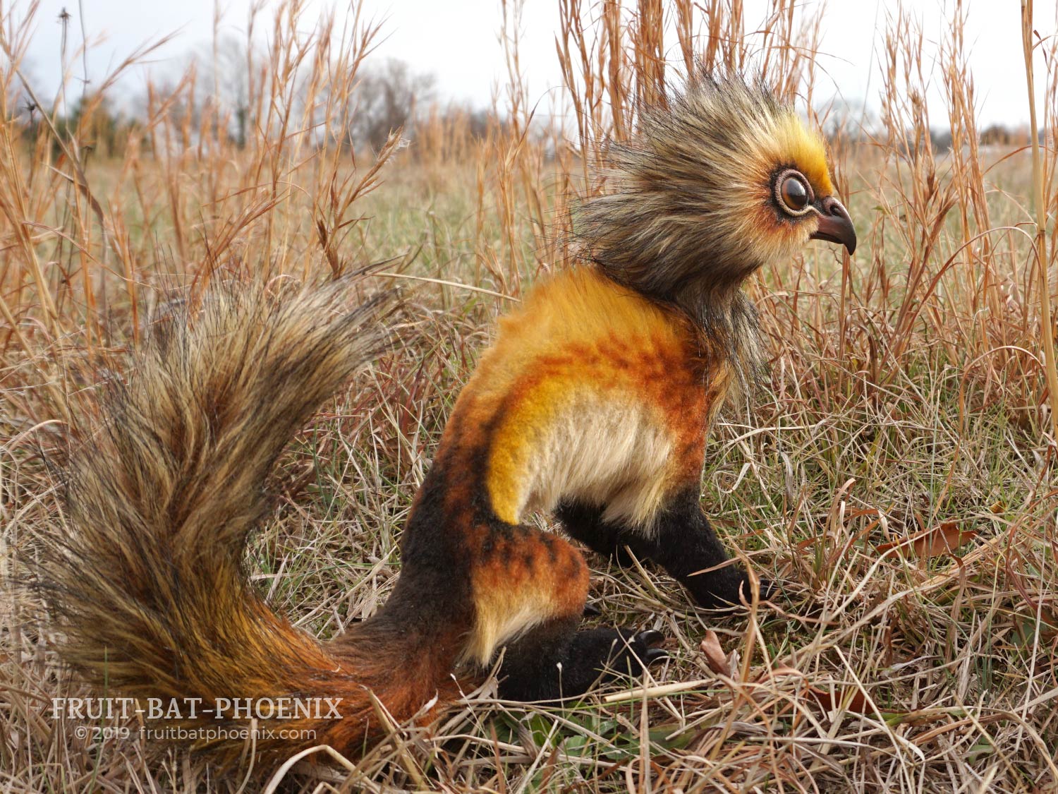 showing the coloration and markings on the creature doll's back