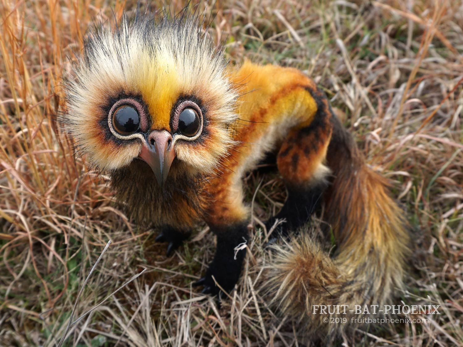 Ferrowl the posable fantasy creature sitting and looking up toward you the viewer