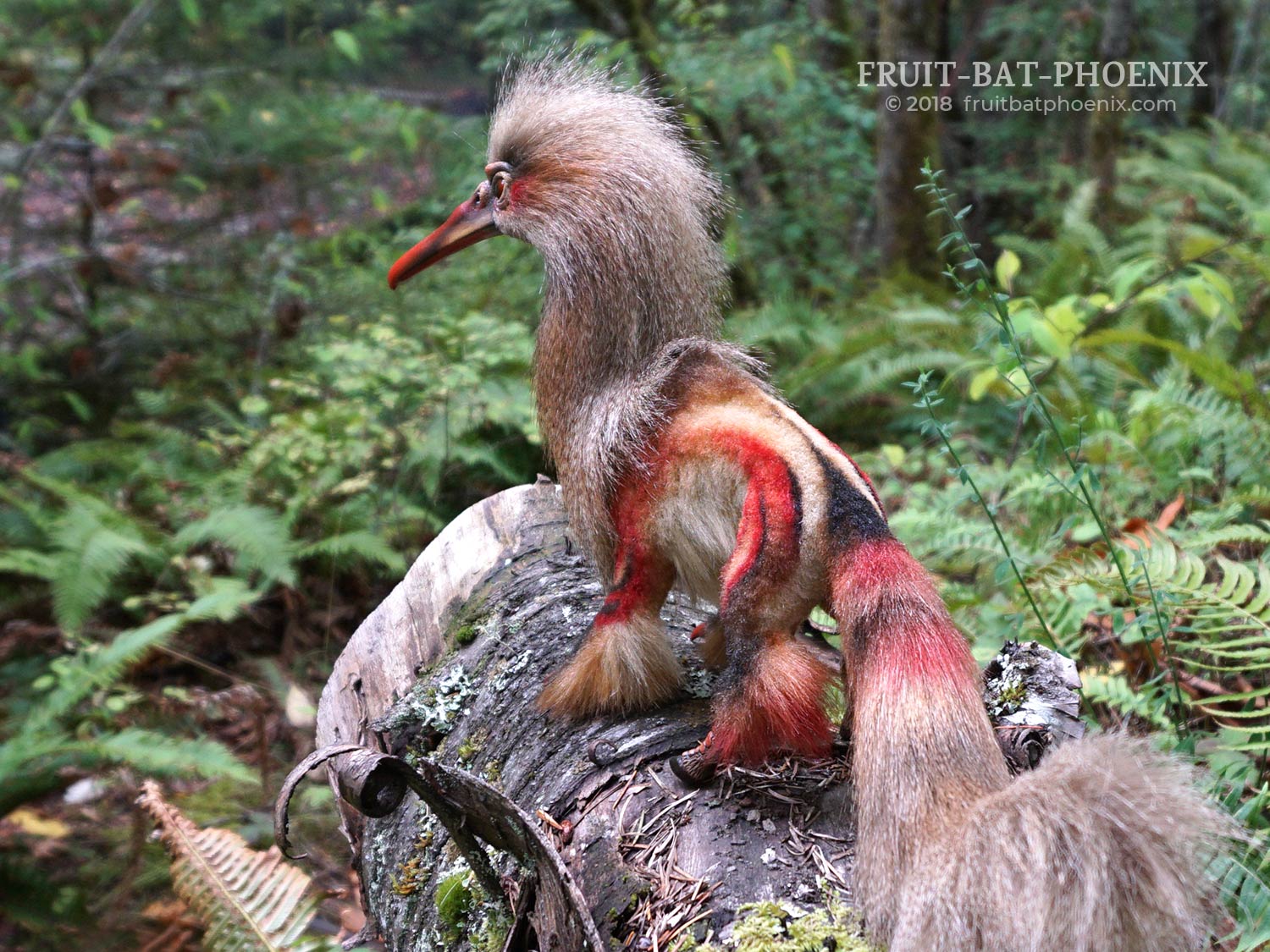 herongriff back view