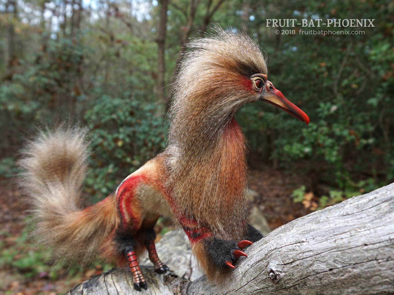 herongriff climbing on log