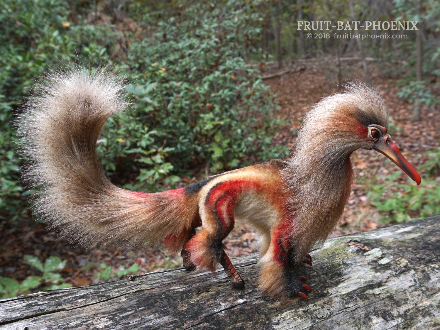herongriff side view