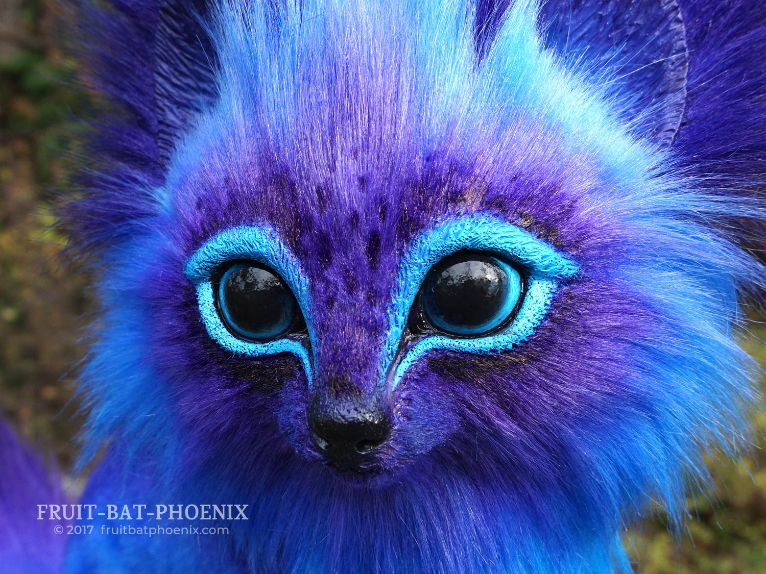 squirrel-fox-ii face closeup