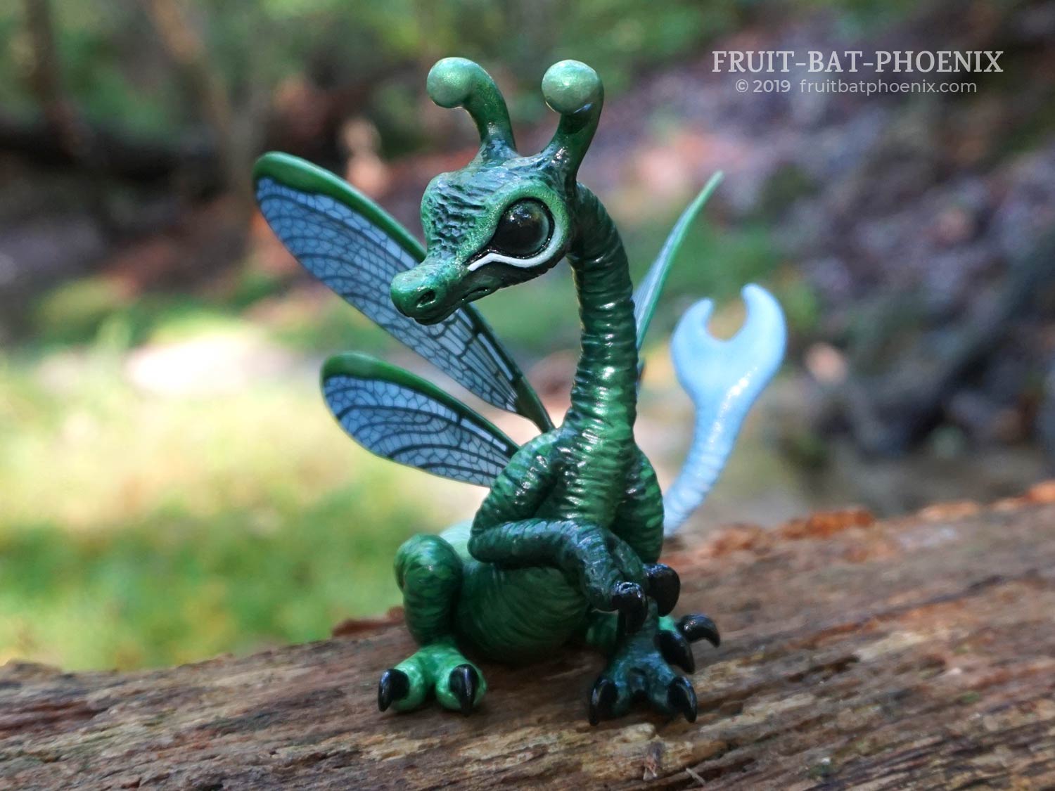 lake damselfly dragon