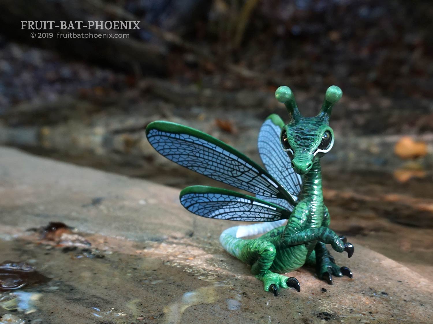 lake-damselfly-dragon on sand in water